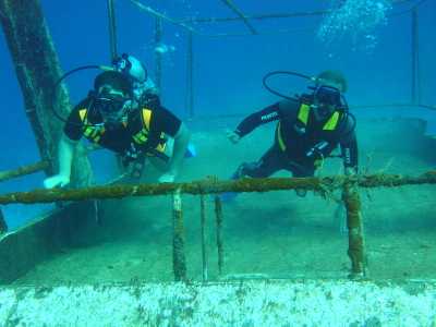 red sea_030.jpg